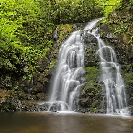 Four Bears Den, Hot Tub, 1089 Of Free Attraction Tickets For Each Paid Day, Dollywood And More Gatlinburg Εξωτερικό φωτογραφία