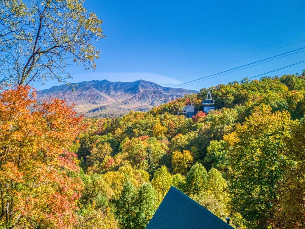 Four Bears Den, Hot Tub, 1089 Of Free Attraction Tickets For Each Paid Day, Dollywood And More Gatlinburg Εξωτερικό φωτογραφία