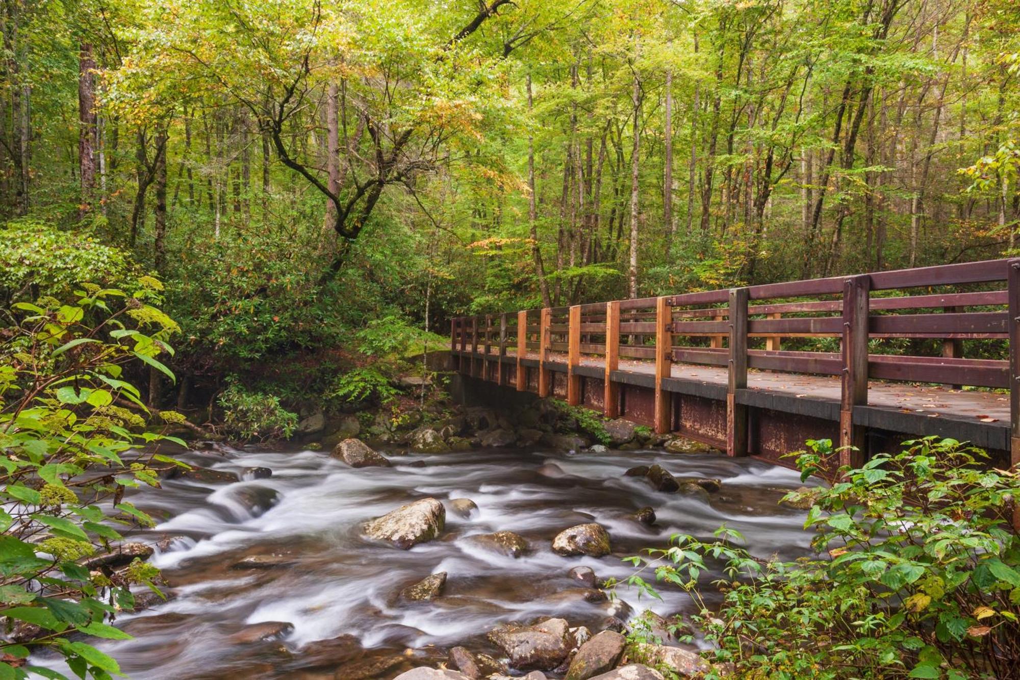 Four Bears Den, Hot Tub, 1089 Of Free Attraction Tickets For Each Paid Day, Dollywood And More Gatlinburg Εξωτερικό φωτογραφία