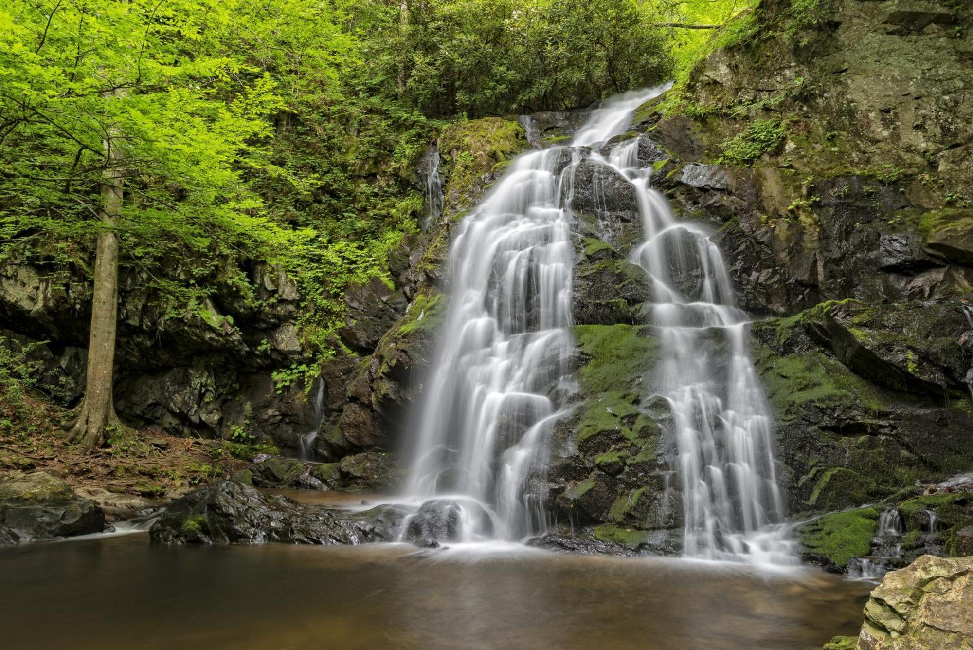 Four Bears Den, Hot Tub, 1089 Of Free Attraction Tickets For Each Paid Day, Dollywood And More Gatlinburg Εξωτερικό φωτογραφία