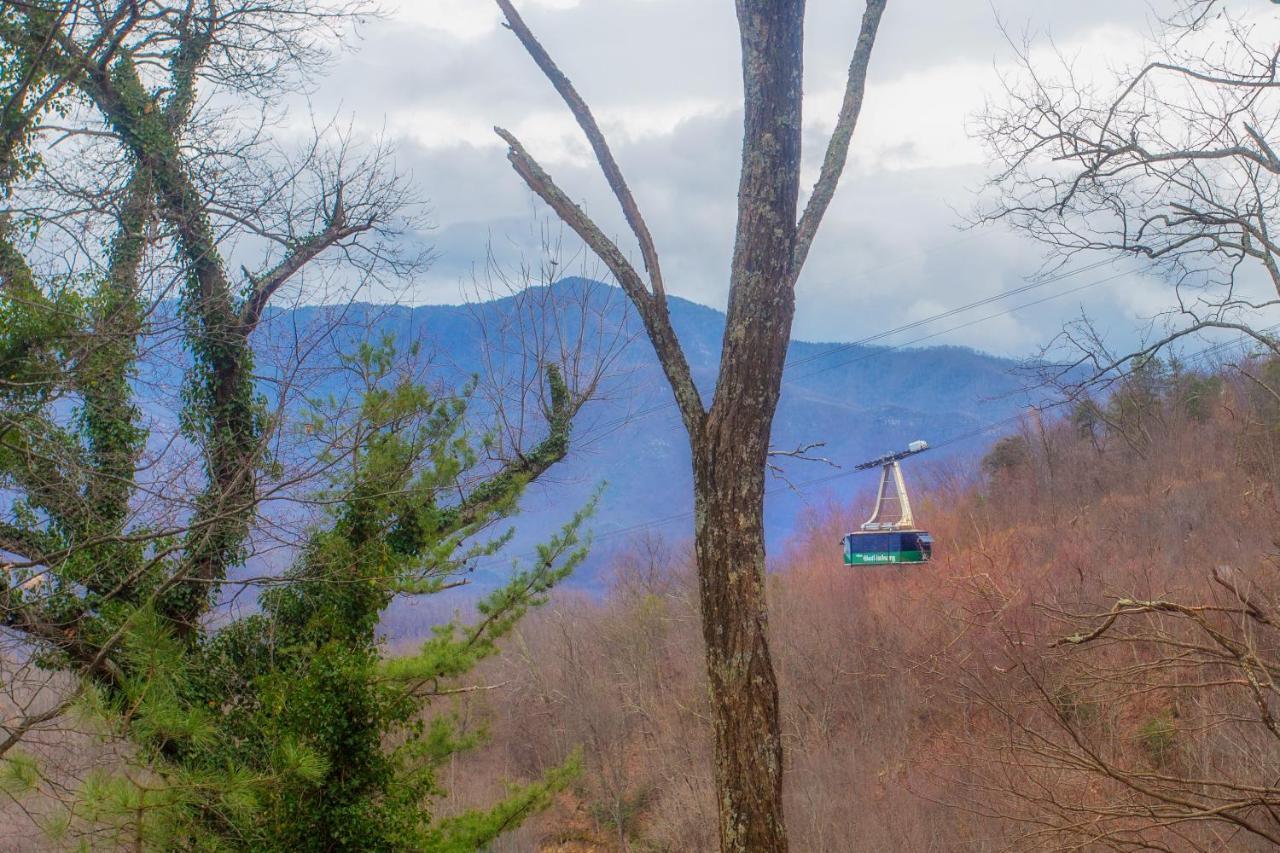 Four Bears Den, Hot Tub, 1089 Of Free Attraction Tickets For Each Paid Day, Dollywood And More Gatlinburg Εξωτερικό φωτογραφία